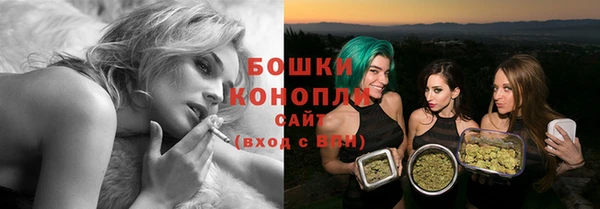 спайс Новодвинск