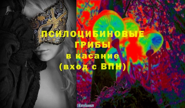 спайс Новодвинск