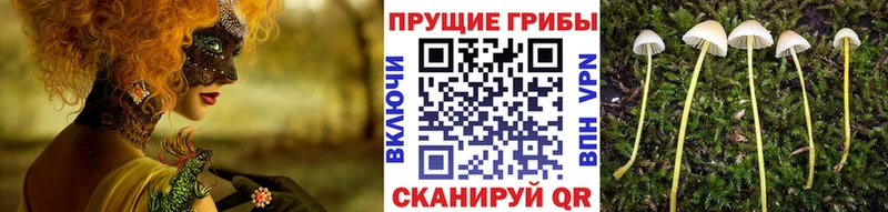Галлюциногенные грибы ЛСД  Эртиль 